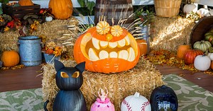 Family Pumpkin Carvings