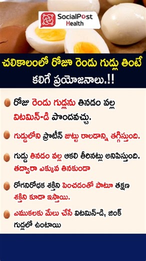 SocialPost Health on Instagram: "చలికాలంలో రోజుకు 2 గుడ్లు తింటే మీ శరీరం ఎలా మారుతుందో తెలుసా? 💡 Eating 2 eggs a day in winter boosts immunity, keeps you warm, improves muscle strength, supports brain function, and provides Vitamin D, B12, protein, iron, choline — all crucial when the body slows down in cold weather. Eggs also reduce fatigue and protect against seasonal infections. 💬 Comment: Want winter special diet ideas with eggs? 🔁 Share with someone who feels weak during winter! 👉 Foll