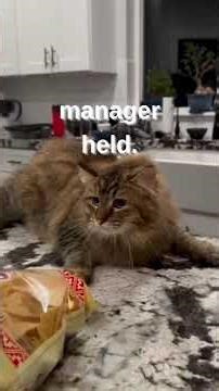 My coworker died, and I realised no one at work ever actually knew him