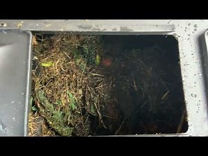 Using rotating compost bins for the first time