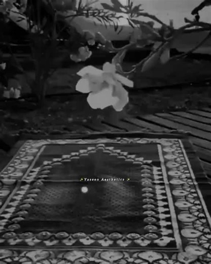 daily-islamic-remainder (@dailyislamicremai)’s videos with original sound - daily-islamic-remainder