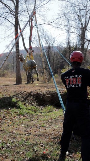 4.3K views · 41 reactions |  Advanced & Large Animal Rescue Team ...