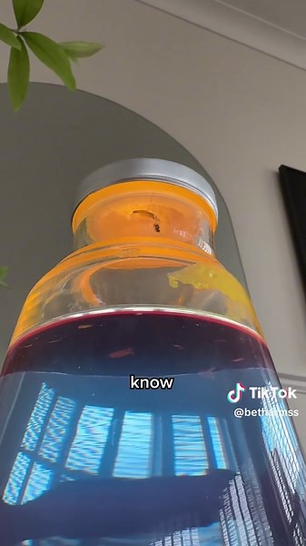 Creating Mood Lighting with Lava Lamps