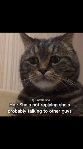 angry_v2 on Instagram: "True 😓 Follow @angry_praksh_fans for more 🤝 . . . . . . . . . . . . Images/Clips ©️ - Respective Owner . .DM/email for removal/fix . . . . . . . . . ..#explorepage✨ #explore #explorar #memes #wholesomememes #catmemes #followme #likesforlikesback #catreels #funnyvideos #viral #like #dailymemes #reachmeto50k #helpmetoreach50k #reelsinstagram #instagood #viralmemes #like #save #viral"