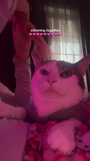 he bit my finger first #bff #adonis | stimming