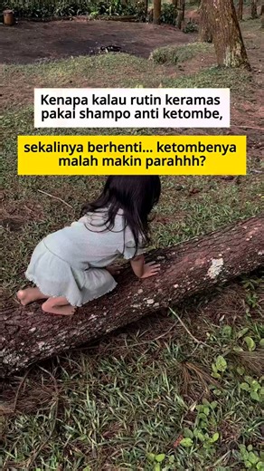 Mengalir Berakar on Instagram: "Karena: 1. Shampo anti ketombe konvensional bekerja dengan “menekan”, bukan memulihkan. Banyak shampo anti ketombe mengandung bahan antijamur dan surfaktan keras (seperti SLS/SLES) yang efektif menghabisi jamur dan minyak secara instan, tapi sekaligus merusak keseimbangan alami kulit kepala. Selama dipakai, kelihatan membaik tapi sebenarnya jadi ketergantungan. 2. Saat berhenti, ketombe akan semakin parah. Kulit kepala yang terlalu sering dilucuti minyak alaminya 