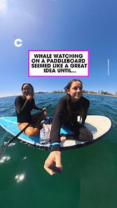 2.8M views · 9K reactions | They really are HUGE 藍 | Common Entertainment | Facebook