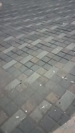 1.6K views · 22 reactions | Saints TV on Reels | Facebook