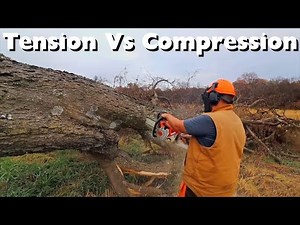 How to Buck a Tree without Pinching Your Bar