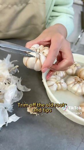 Growing Garlic Chives: A Complete Guide