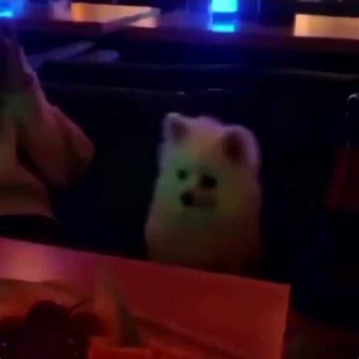 Settle Down remix tho #the1975 #mattyhealy #mattyhealythe1975 #settledown #settledownremix