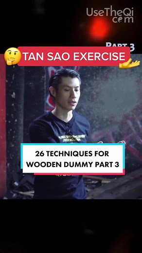 Tai Chi Basics: Learn Tan Sao Move | Wing Chun Techniques
