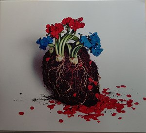 星野源 - Pop Virus