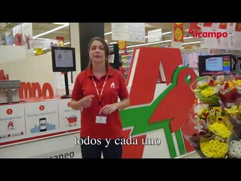 Sistema de videointerpretación SVisual