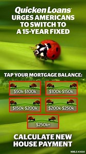 Homeowners who don’t want to keep paying so much interest to the big banks should really think about switching to a 15-year fixed with Quicken Loans. If you are paying a mortgage, you shouldn’t go another day without seeing this. (No need to worry - we are experts!) http://bit.ly/2Nn8Rt9 | Quicken Loans