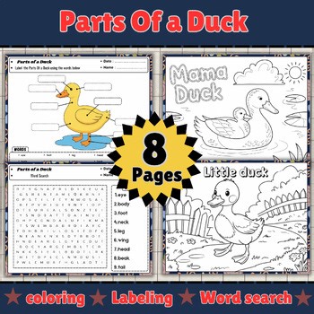 Parts Of a Duck Worksheets | Science & Life Science | Science and biology