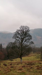 Pool > problems | Nico Rabino