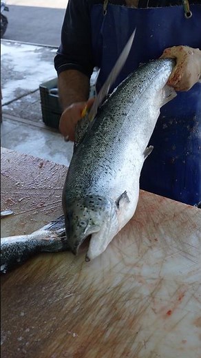 😱 42 Seconds to Perfect Salmon Steaks – Insane Knife Skill! 🔥🐟