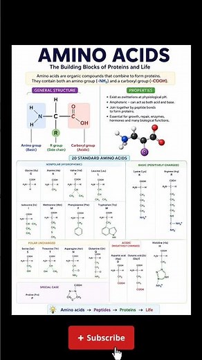 🧬 Amino Acids Explained | Building Blocks of Proteins | Biology Made Easy
