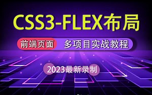 【CSS3-Flex弹性布局】2023最新 | Flex移动端多项目实战教程（Vue3.2/FlexBox/零基础/实战/进阶/前端开发/页面）S0064