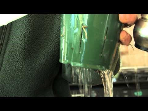 How to Get Orchids to Re-bloom