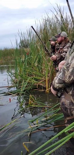 Exciting Duck Hunting Adventures with the Eye of the Tiger
