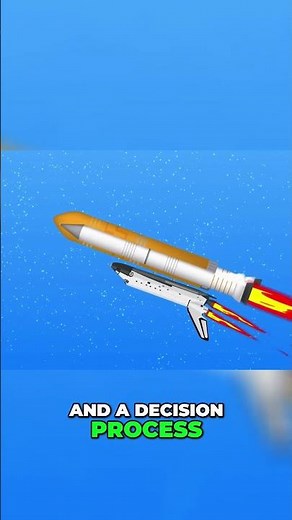 Challenger Disaster The Deadly Cold and O Ring Failure