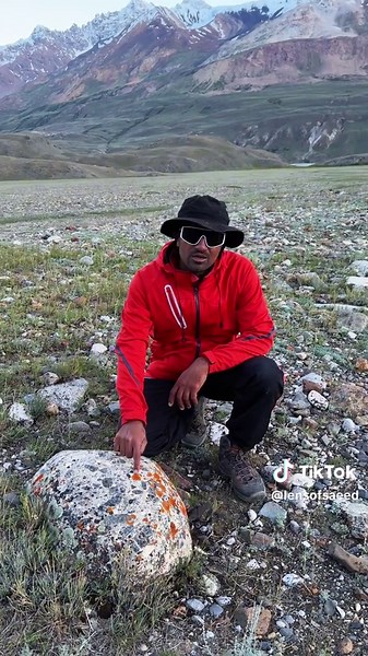 What is lichens ?? ⛰️🌳 #lichen #mountains #kpk #viral #fyp #trending Explained By @Intikhab Khan