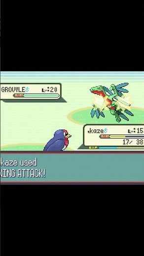 Probably the most DIFFICULT Battle of Pokemon Ruby and Sapphire: May on Route 110