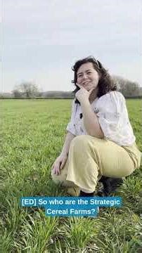 AHDB Strategic Cereal Farms in 60 seconds.