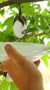 Maybe eggs do grow in trees 🤔 | Nifty & Thrifty