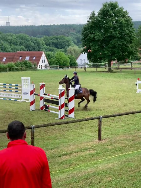 Distanz war gut, nur der Sprung stand falsch🫠 #turnier #springreiten #springpferd #springturnier #springturnier #pferd #horse #showjumping #turnierfail #equestrian #fy #fyp #horsesoftiktok #showjumper #showjump