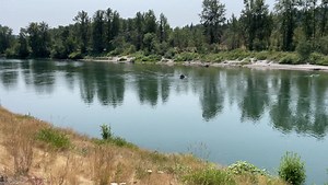 Cowlitz River (Cowlitz County, Washington) video