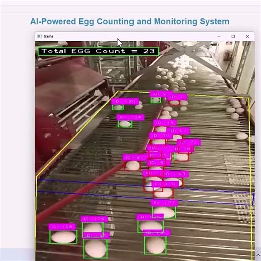 AI-Powered Egg Packing Total Counting System using Computer Vision