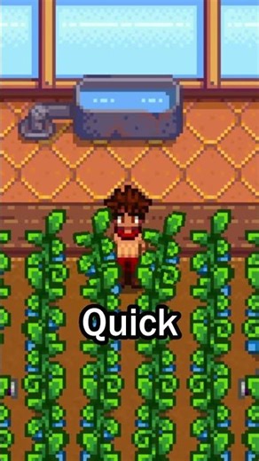 Watering Can Refill Locations Stardew Valley
