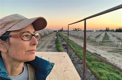 Can chemists turn California’s almond trash into sustainable treasure?