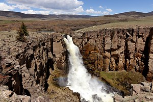 New BLM Proposal Aims for Better Land Conservation & Restoration