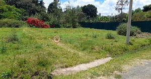 Land for Sale in Karen