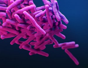 New tuberculosis drug regimen slashes treatment time »  Emerging Pathogens Institute » University of Florida