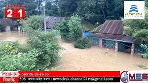 16K views · 501 reactions | Channel 21 News on Reels | Facebook