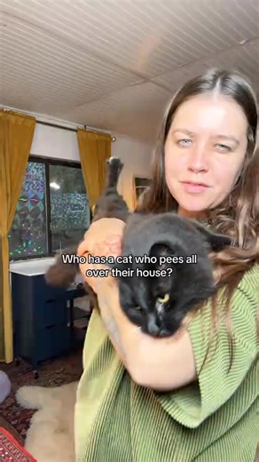 26K views · 296 reactions | The thing all cat parents should know about cats’ spraying urine and ignoring their box…. and an easy way to help | TheraPet | Facebook