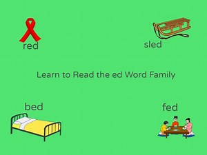 The ed Word Family
