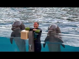 SeaWorld Orlando | Full Day HIGHLIGHTS 4K (10-30-22)