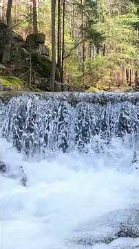 Close Your Eyes and Listen 🌊🍃 | Real Forest Waterfall #Shorts