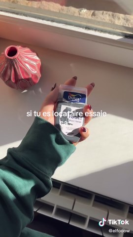 Peinture abordable pour locataires et étudiants