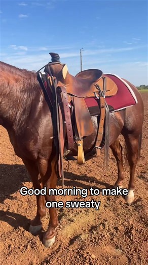 Embrace the Blessed Life with Sweet Treats