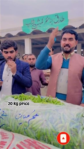 18 दिसंबर 2025 — आज के बाजार में मटर की नीलामी देखिए।