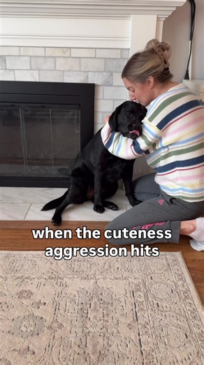 When Cuteness Aggression Strikes: Adorable Dog Moments