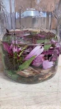 Making my own medicine🌸🌾🤸‍♂️#medicine#plants#herbs#health#naturalremedy#homemade#naturalcare#nature