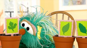 Rosita and her family are growing something special—right in their kitchen! Watch as they plant a herb garden to add fresh flavor to their meals and save money! https://m.sesame.org/militarykitchengardenfb | Sesame Street for Military Families